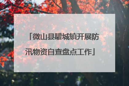 微山县驩城镇开展防汛物资自查盘点工作