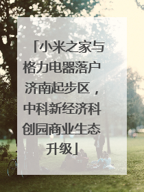 小米之家与格力电器落户济南起步区，中科新经济科创园商业生态升级