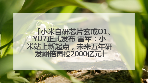小米自研芯片玄戒O1、YU7正式发布 雷军：小米站上新起点，未来五年研发翻倍再投2000亿元