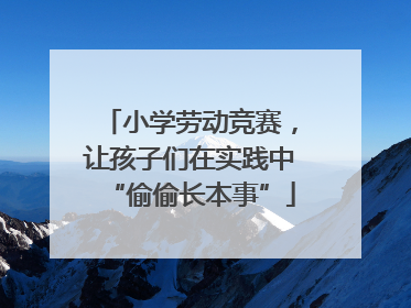 小学劳动竞赛，让孩子们在实践中“偷偷长本事”