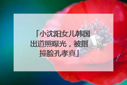小沈阳女儿韩国出道照曝光，被指撞脸孔孝真