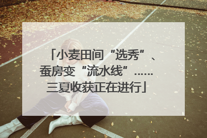 小麦田间“选秀”、蚕房变“流水线”……三夏收获正在进行