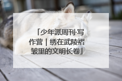 少年派周刊·写作营｜绣在武陵褶皱里的文明长卷