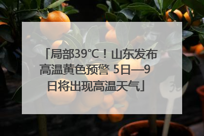 局部39℃！山东发布高温黄色预警 5日—9日将出现高温天气