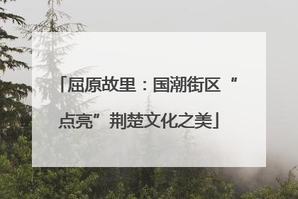 屈原故里：国潮街区“点亮”荆楚文化之美