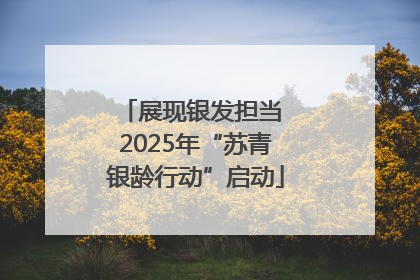 展现银发担当 2025年“苏青银龄行动”启动