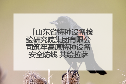 山东省特种设备检验研究院集团有限公司筑牢高原特种设备安全防线 共绘拉萨美好生活画卷