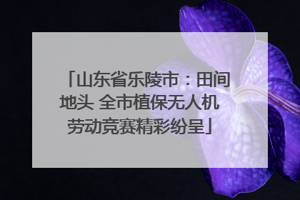 山东省乐陵市：田间地头 全市植保无人机劳动竞赛精彩纷呈