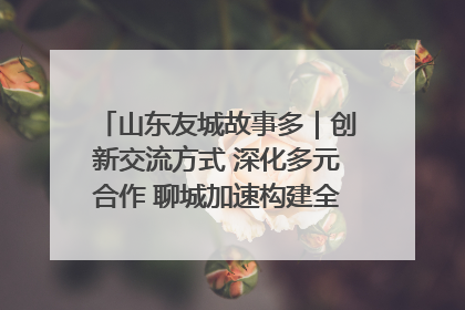 山东友城故事多｜创新交流方式 深化多元合作 聊城加速构建全球友城新格局