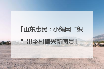 山东惠民：小绳网“织”出乡村振兴新图景