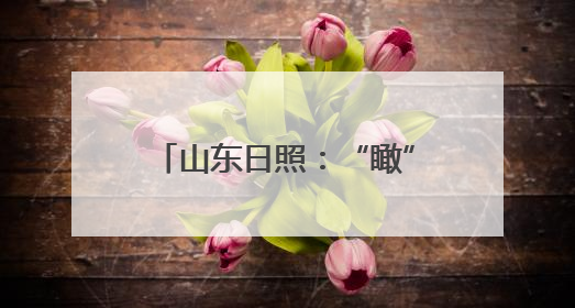 山东日照：“瞰”见港口经济新样貌