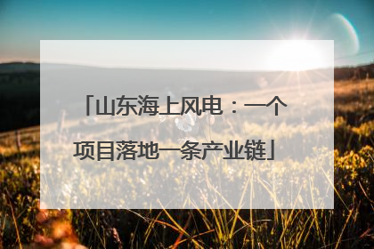 山东海上风电：一个项目落地一条产业链