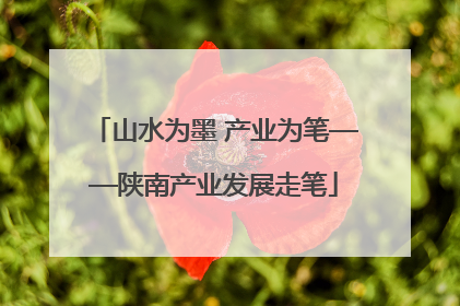 山水为墨 产业为笔——陕南产业发展走笔