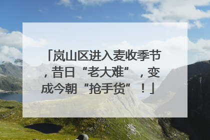 岚山区进入麦收季节，昔日“老大难”，变成今朝“抢手货”！