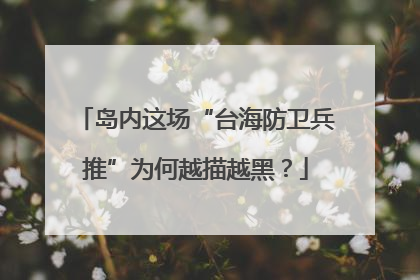 岛内这场“台海防卫兵推”为何越描越黑？