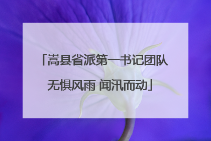 嵩县省派第一书记团队 无惧风雨 闻汛而动