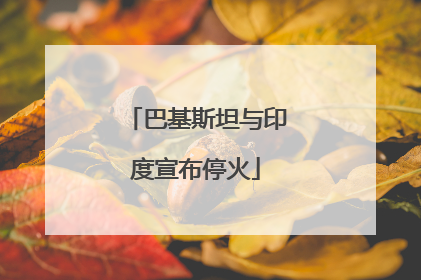巴基斯坦与印度宣布停火