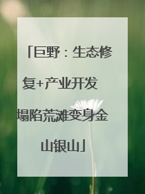 巨野：生态修复+产业开发 塌陷荒滩变身金山银山