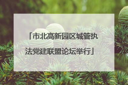 市北高新园区城管执法党建联盟论坛举行