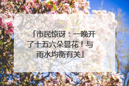 市民惊讶：一晚开了十五六朵昙花！与雨水均衡有关