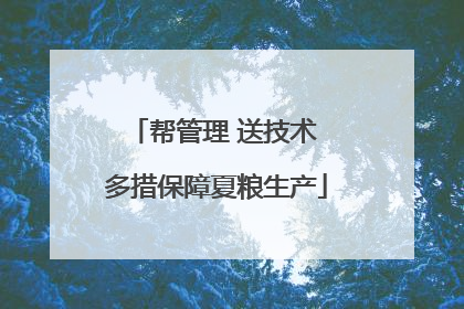 帮管理 送技术 多措保障夏粮生产