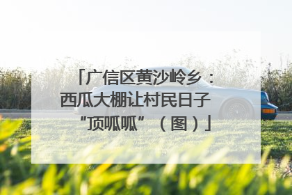 广信区黄沙岭乡：西瓜大棚让村民日子“顶呱呱”（图）