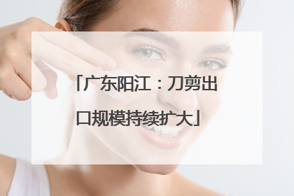 广东阳江：刀剪出口规模持续扩大