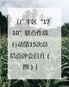 广丰区“1710”联合作战行动第15次总结点评会召开（图）