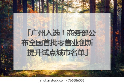 广州入选！商务部公布全国首批零售业创新提升试点城市名单