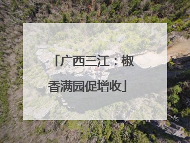 广西三江：椒香满园促增收