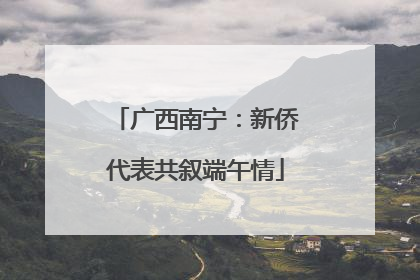 广西南宁：新侨代表共叙端午情