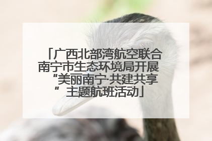广西北部湾航空联合南宁市生态环境局开展“美丽南宁·共建共享”主题航班活动