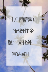 广西启动“记得住乡愁”文化外宣活动