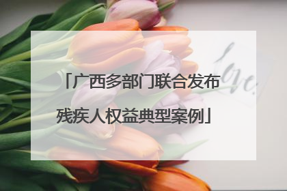 广西多部门联合发布残疾人权益典型案例