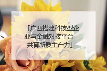 广西搭建科技型企业与金融对接平台 共育新质生产力