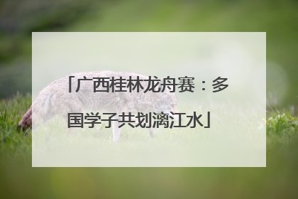 广西桂林龙舟赛：多国学子共划漓江水
