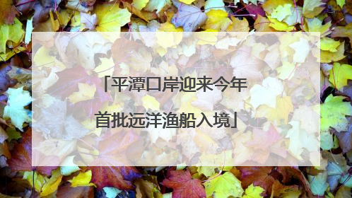 平潭口岸迎来今年首批远洋渔船入境