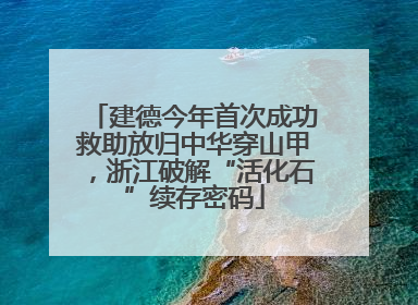 建德今年首次成功救助放归中华穿山甲，浙江破解“活化石”续存密码