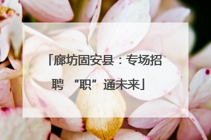 廊坊固安县：专场招聘 “职”通未来