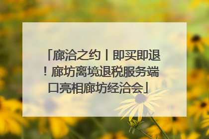 廊洽之约丨即买即退！廊坊离境退税服务端口亮相廊坊经洽会