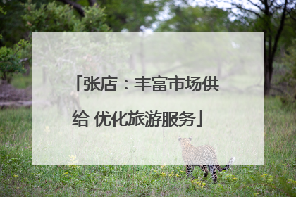 张店：丰富市场供给 优化旅游服务