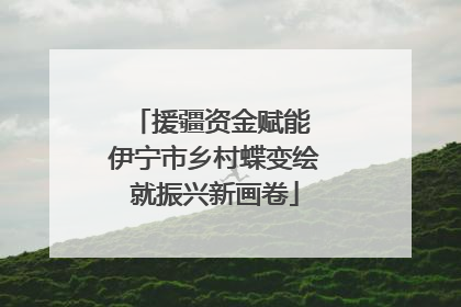 援疆资金赋能 伊宁市乡村蝶变绘就振兴新画卷