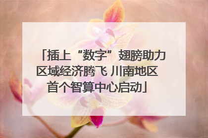 插上“数字”翅膀助力区域经济腾飞 川南地区首个智算中心启动