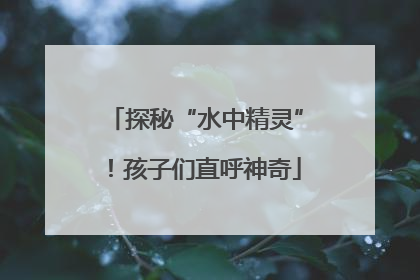 探秘“水中精灵”！孩子们直呼神奇