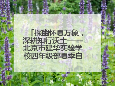 探幽怀夏万象，深耕知行沃土——北京市建华实验学校四年级部夏季自然空间课程纪实