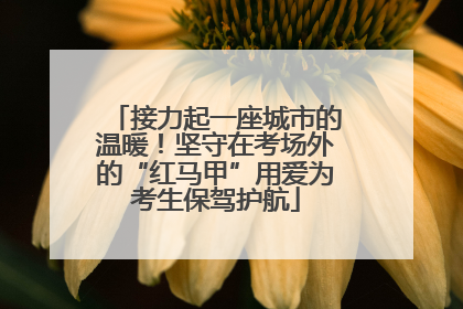 接力起一座城市的温暖！坚守在考场外的“红马甲”用爱为考生保驾护航