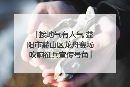 接地气有人气 益阳市赫山区龙舟赛场吹响征兵宣传号角