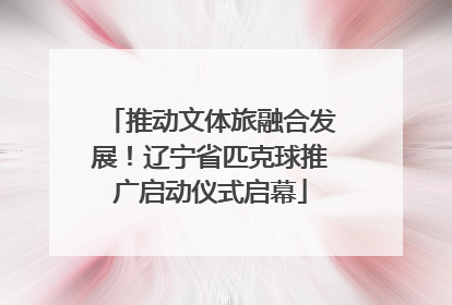 推动文体旅融合发展！辽宁省匹克球推广启动仪式启幕