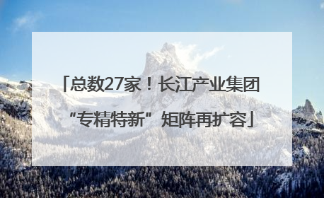 总数27家！长江产业集团“专精特新”矩阵再扩容