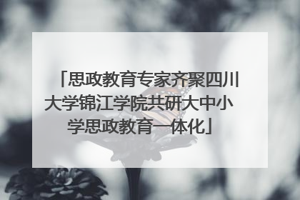 思政教育专家齐聚四川大学锦江学院共研大中小学思政教育一体化